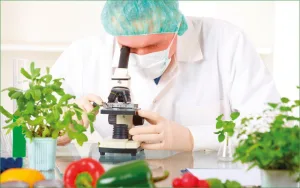 Kiểm tra và đánh giá chất lượng